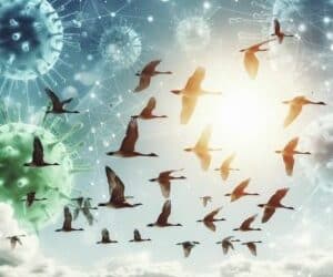 A Primer on how to track and monitor important pet disease trends